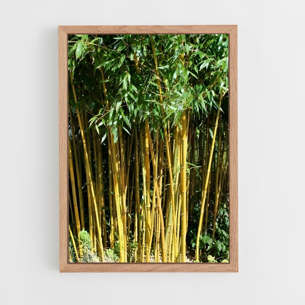 ap-golden bamboo-1 cadre Bois clair
