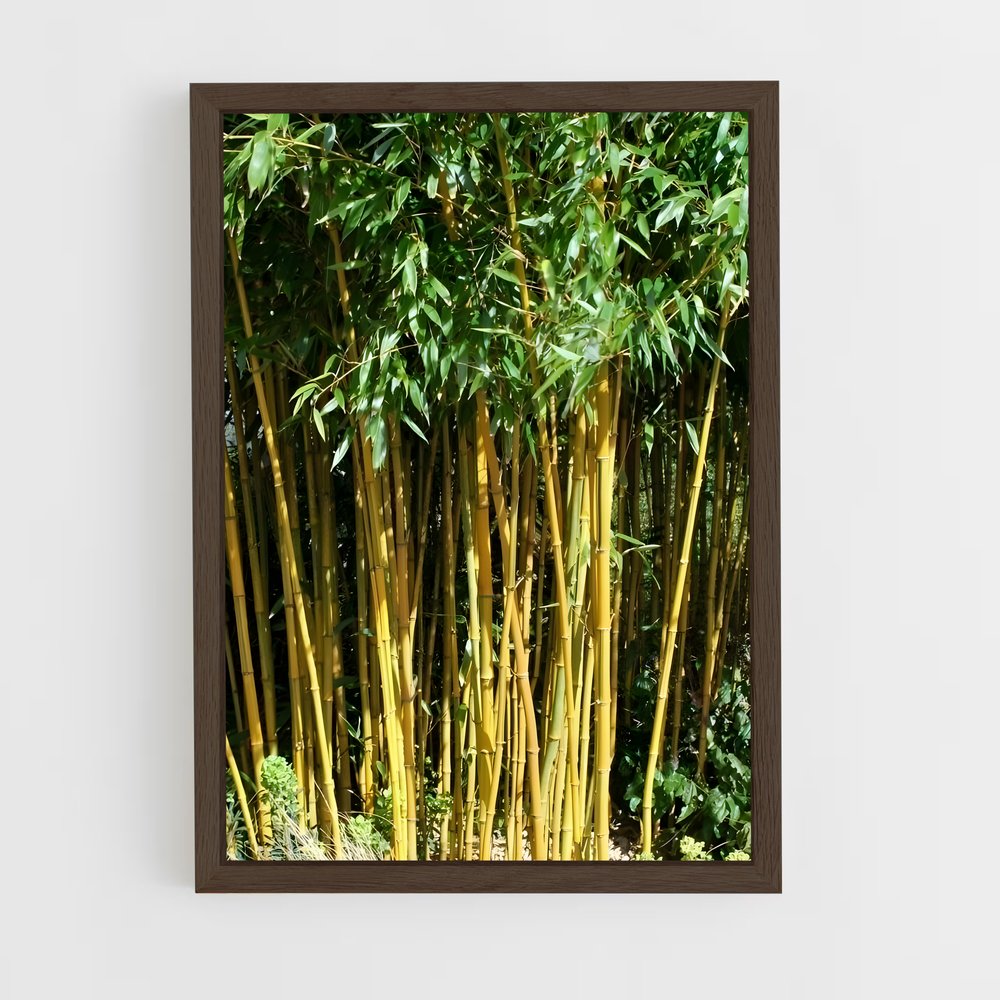 ap-golden bamboo-1 cadre Bois foncé