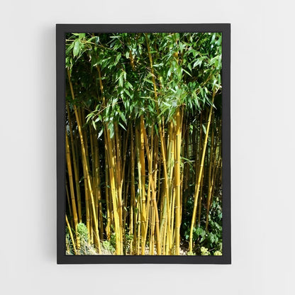 ap-golden bamboo-1 cadre Noir
