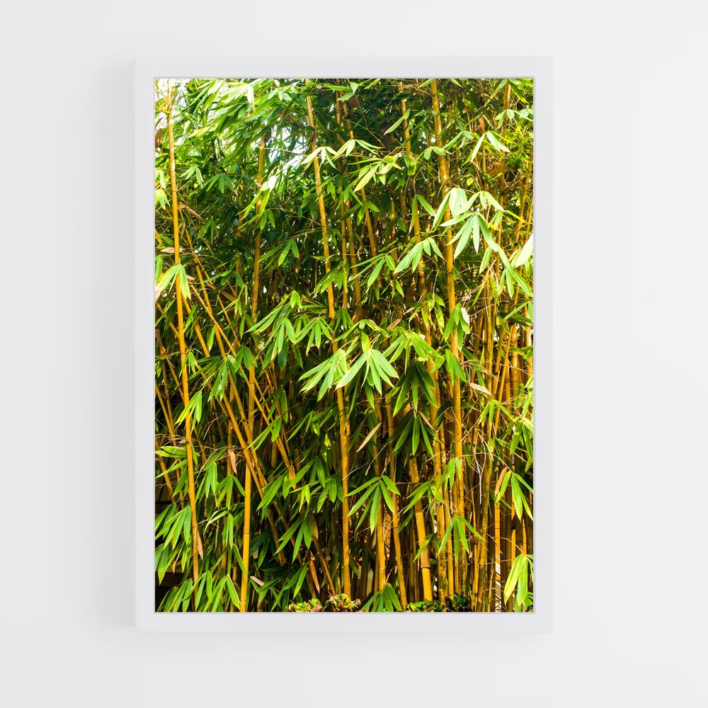 ap-golden bamboo-2 cadre Blanc