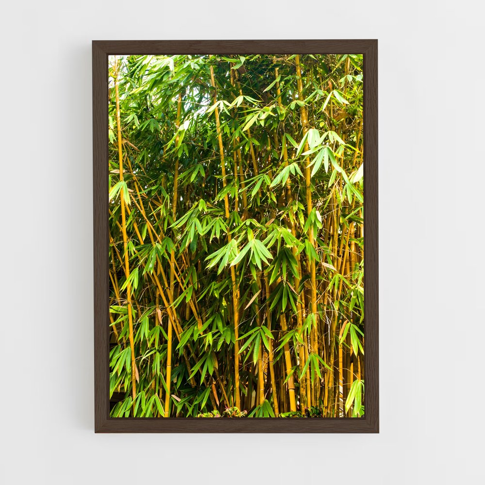 ap-golden bamboo-2 cadre Bois foncé