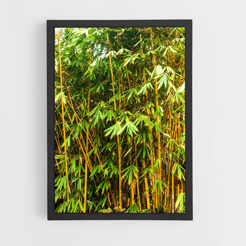 ap-golden bamboo-2 cadre Noir