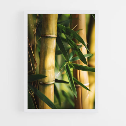 ap-golden bamboo-6 cadre Blanc