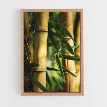 ap-golden bamboo-6 cadre Bois clair