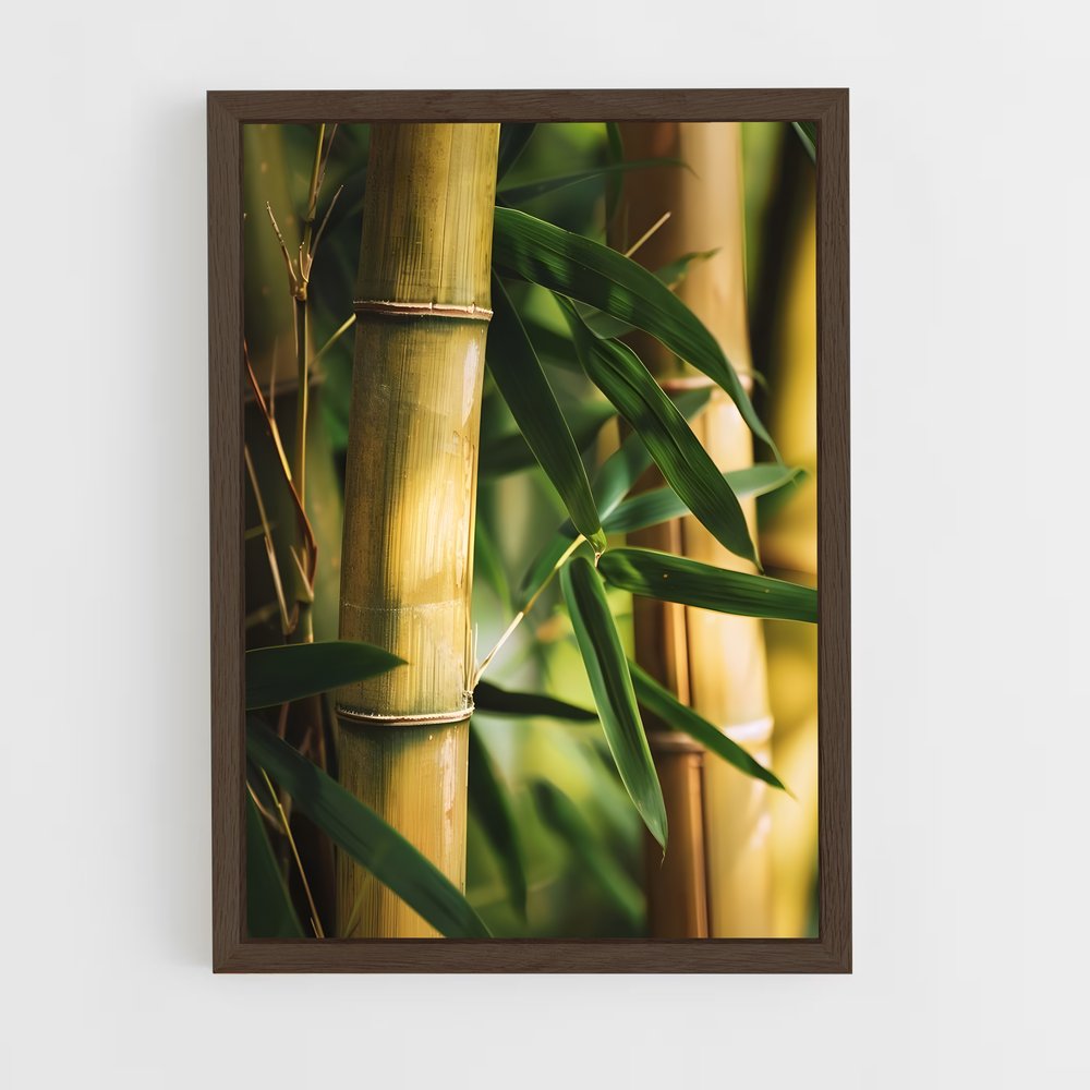 ap-golden bamboo-6 cadre Bois foncé