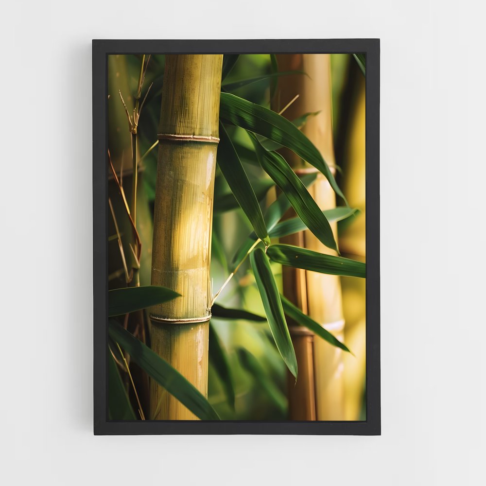 ap-golden bamboo-6 cadre Noir