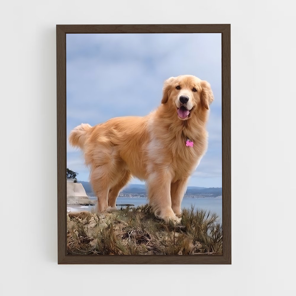ap-golden retriever-3 cadre Bois foncé