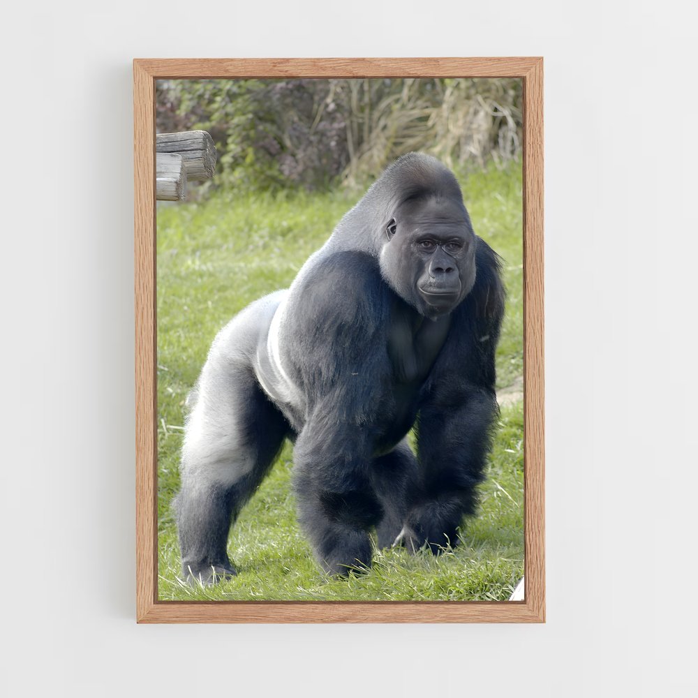 ap-gorilla-1 cadre Bois clair