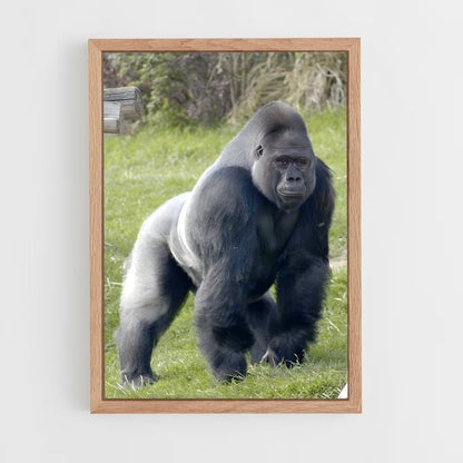 ap-gorilla-1 cadre Bois clair