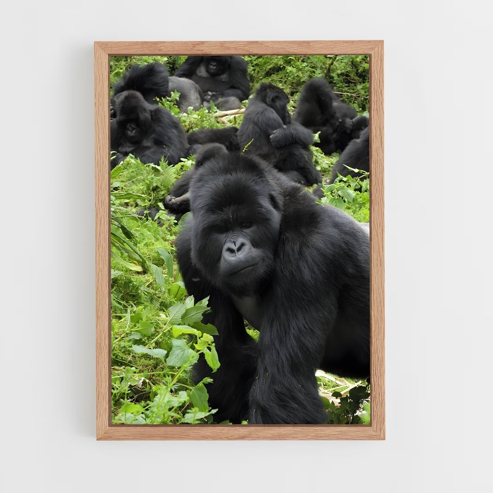 ap-gorilla-2 cadre Bois clair