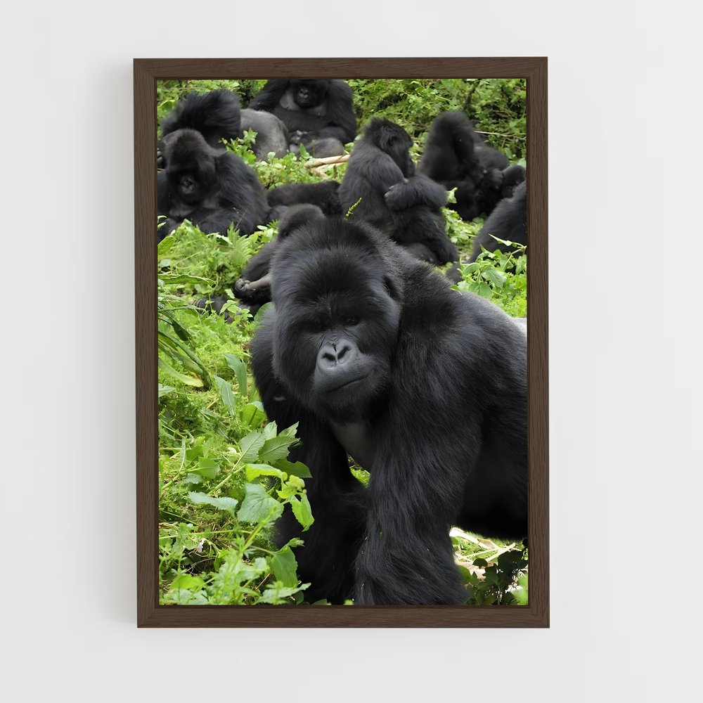 ap-gorilla-2 cadre Bois foncé