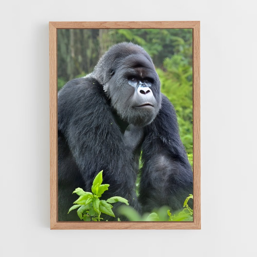ap-gorilla-3 cadre Bois clair