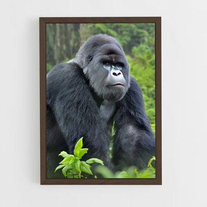 ap-gorilla-3 cadre Bois foncé