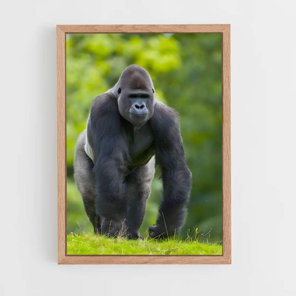 ap-gorilla-4 cadre Bois clair