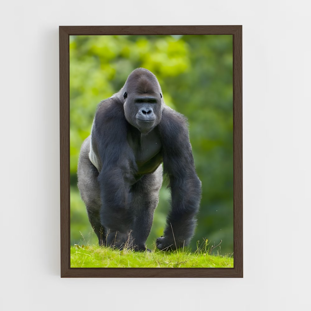 ap-gorilla-4 cadre Bois foncé