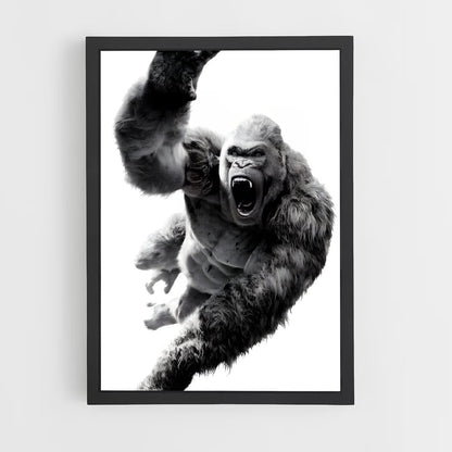 ap-gorilla-5 cadre Noir