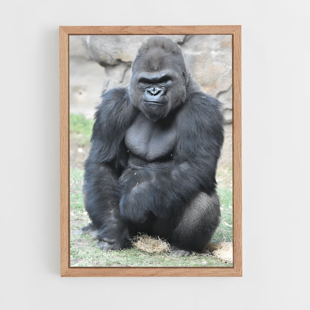ap-gorilla-6 cadre Bois clair