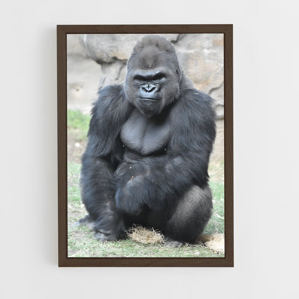 ap-gorilla-6 cadre Bois foncé
