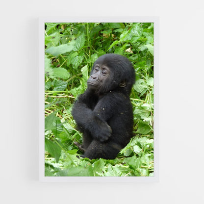 ap-gorilla-7 cadre Blanc