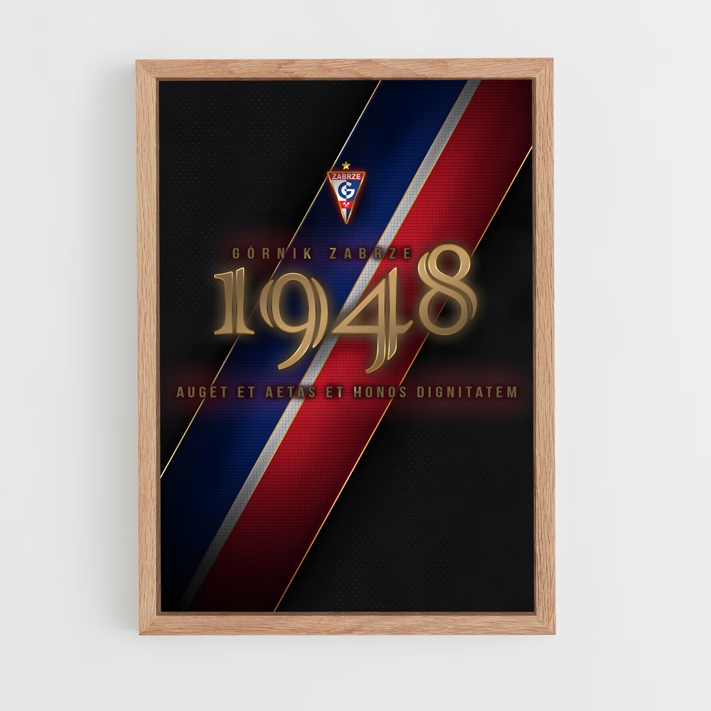 ap-gornik zabrze-10 cadre Bois clair