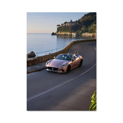 Poster Cuir Rose
