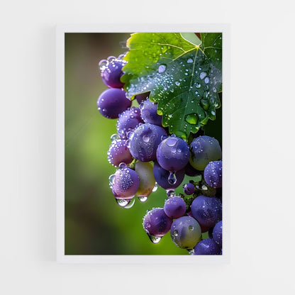 ap-grape vine-2 cadre Blanc
