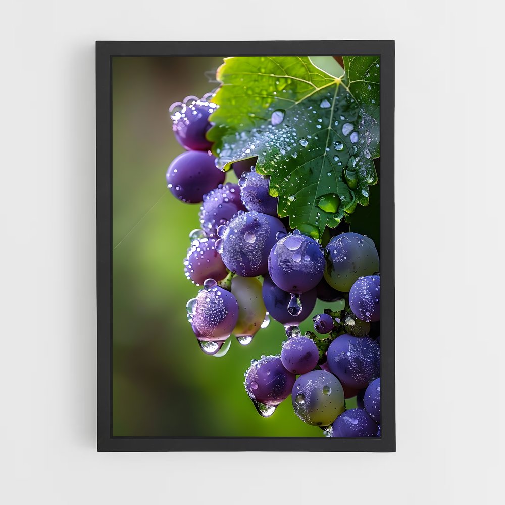 ap-grape vine-2 cadre Noir