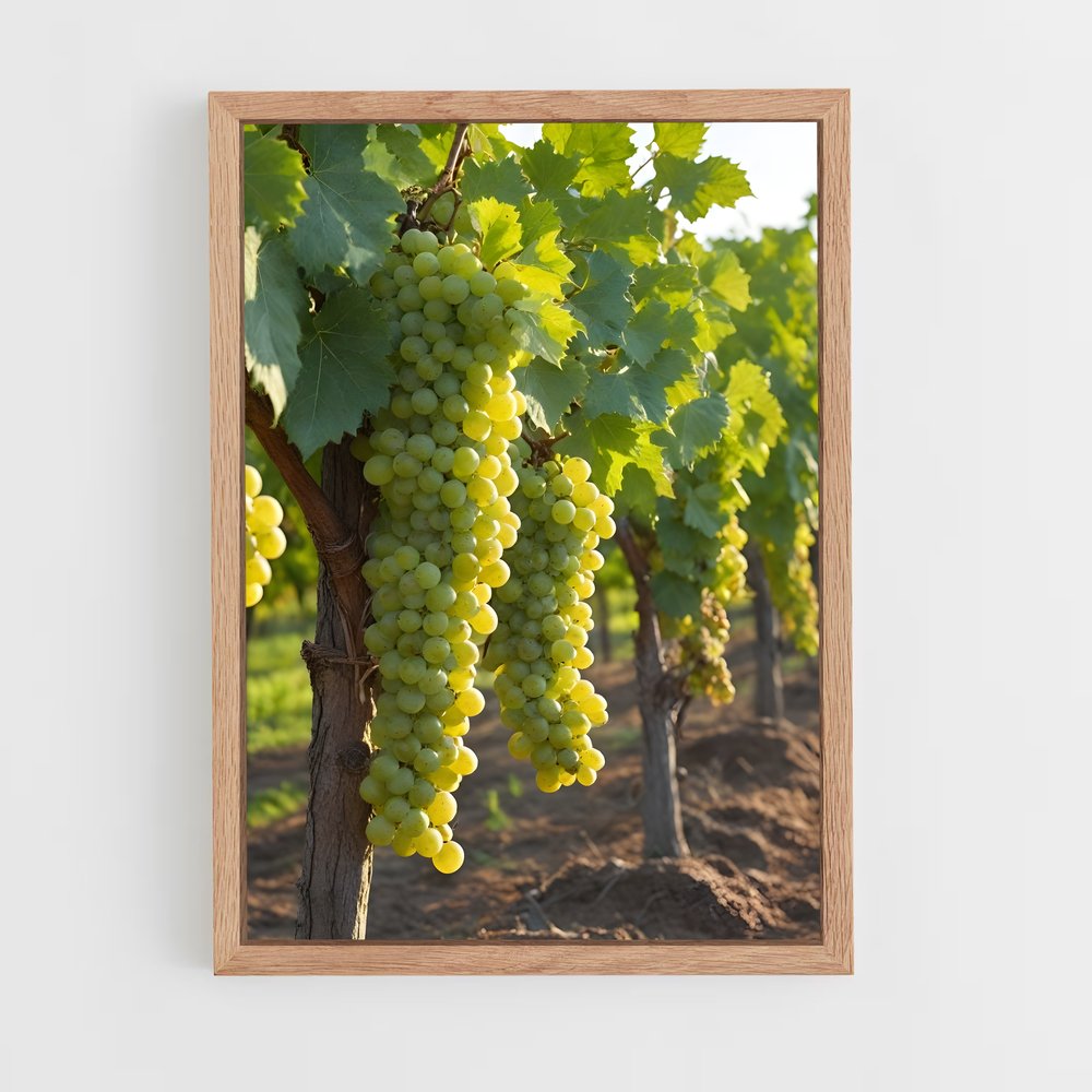 ap-grape vine-3 cadre Bois clair
