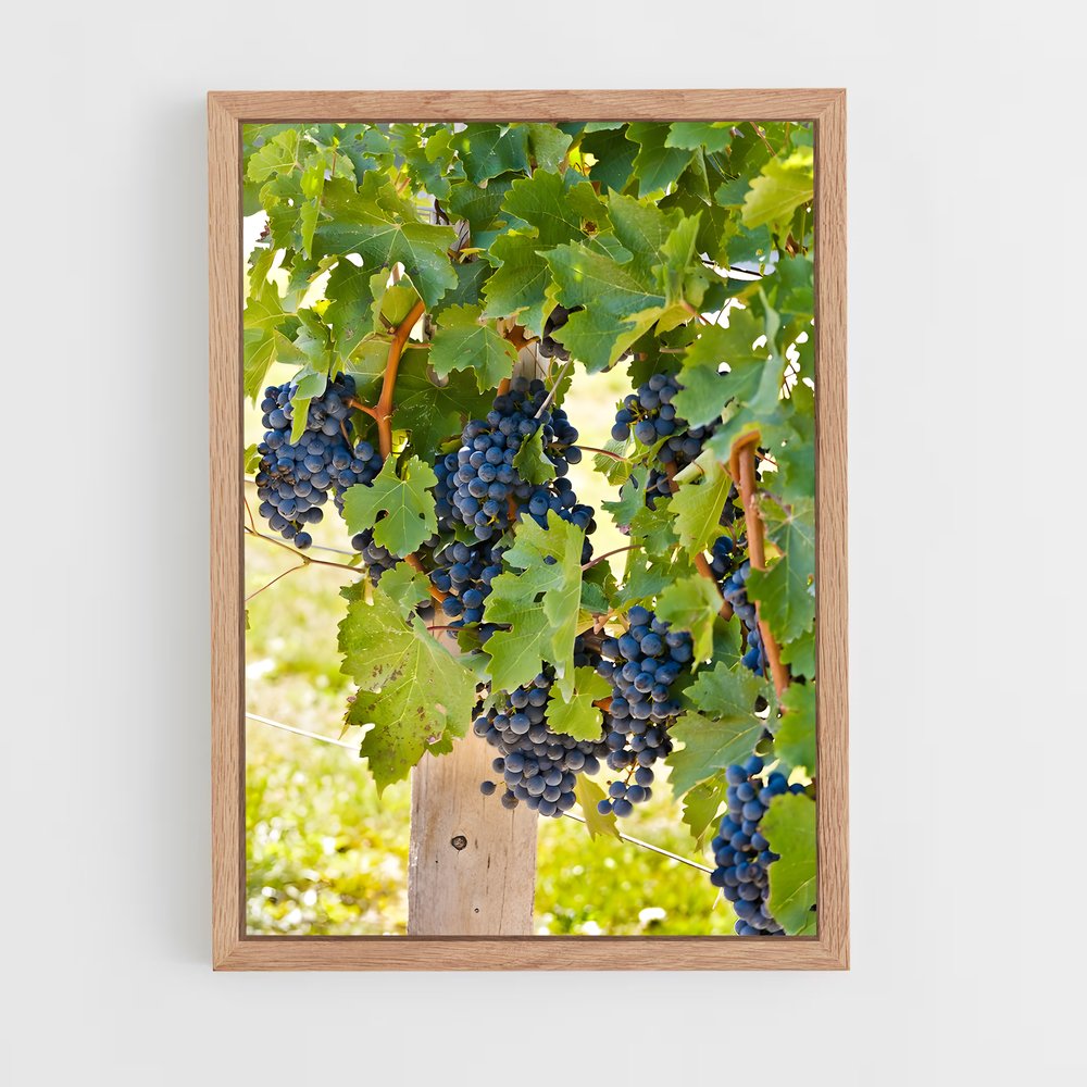 ap-grape vine-6 cadre Bois clair