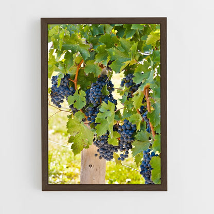 ap-grape vine-6 cadre Bois foncé