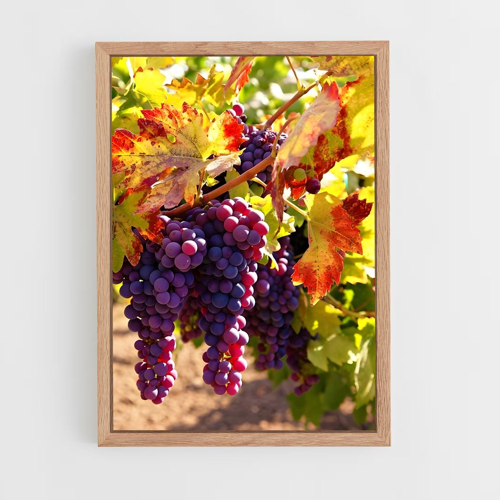 ap-grape vine-7 cadre Bois clair