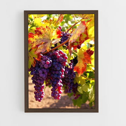 ap-grape vine-7 cadre Bois foncé