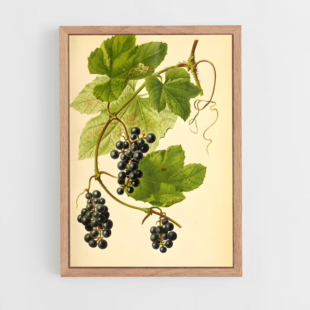 ap-grape vine-9 cadre Bois clair