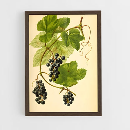 ap-grape vine-9 cadre Bois foncé