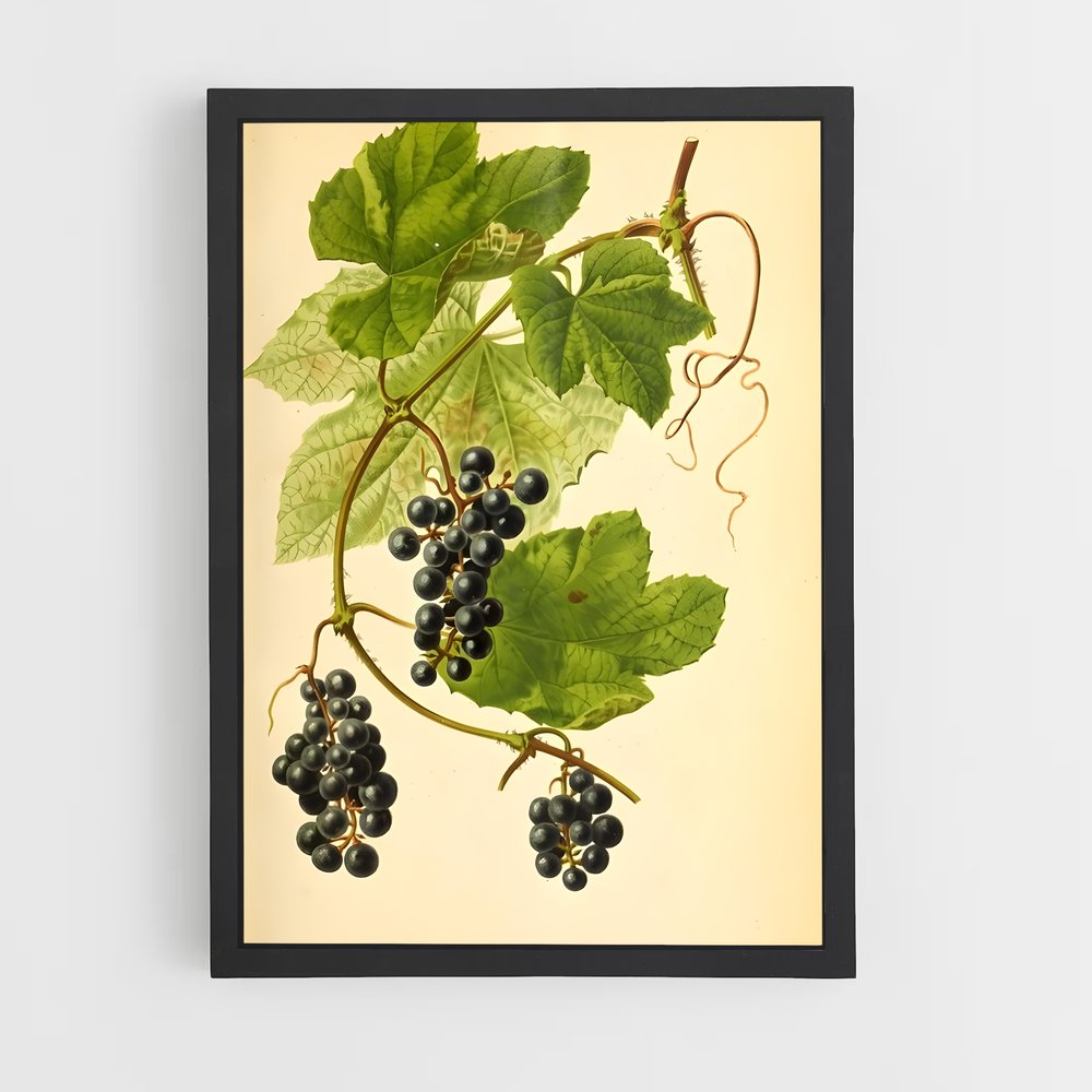 ap-grape vine-9 cadre Noir