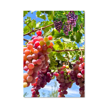 Poster Raisins Rouges