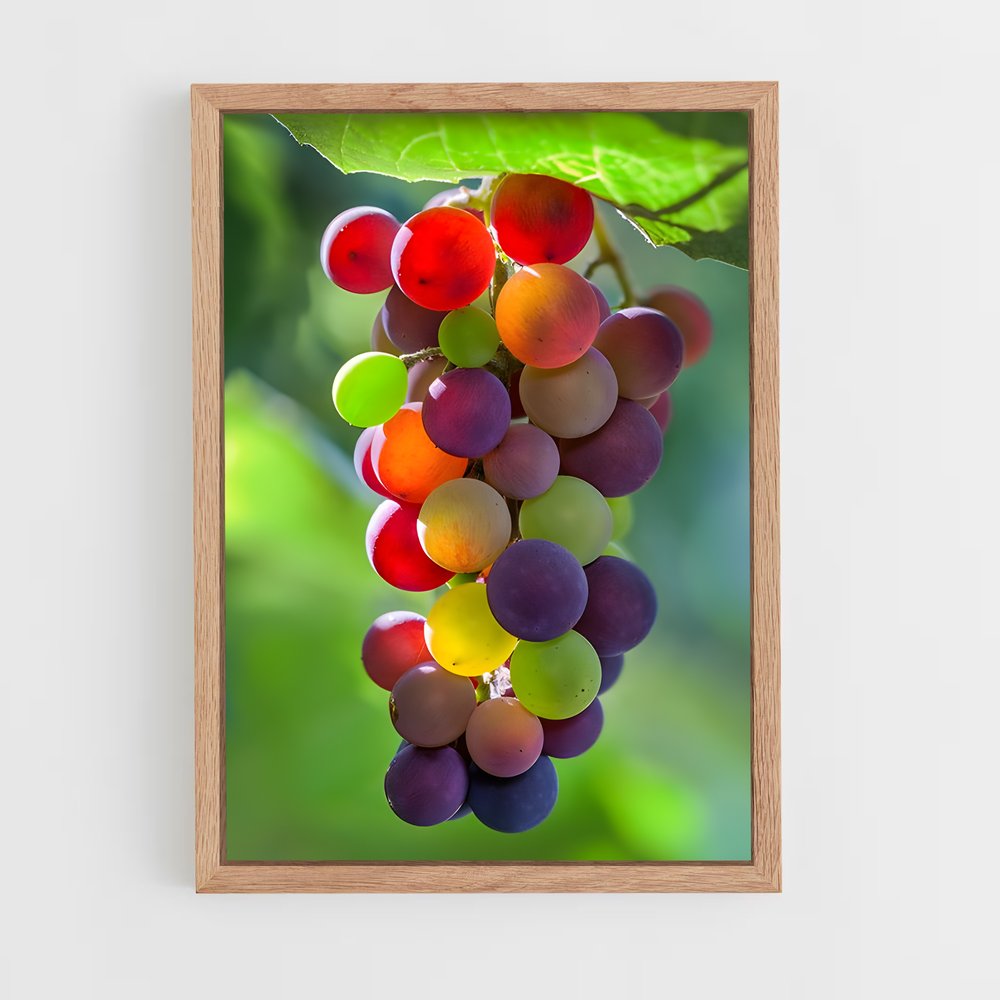 ap-grapes-4 cadre Bois clair