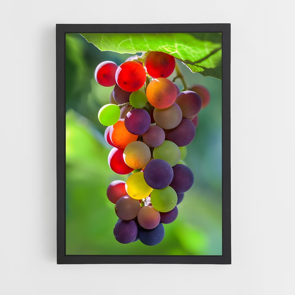 ap-grapes-4 cadre Noir