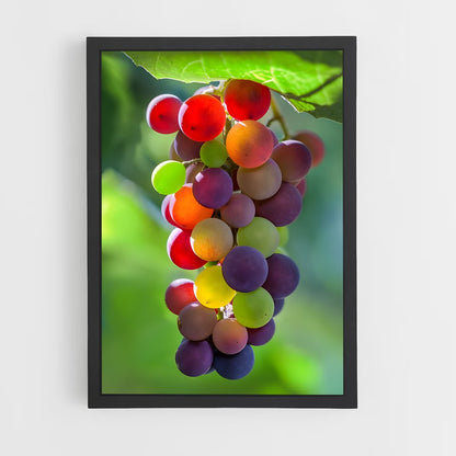 ap-grapes-4 cadre Noir