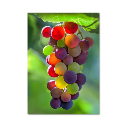Poster Raisins de Vie