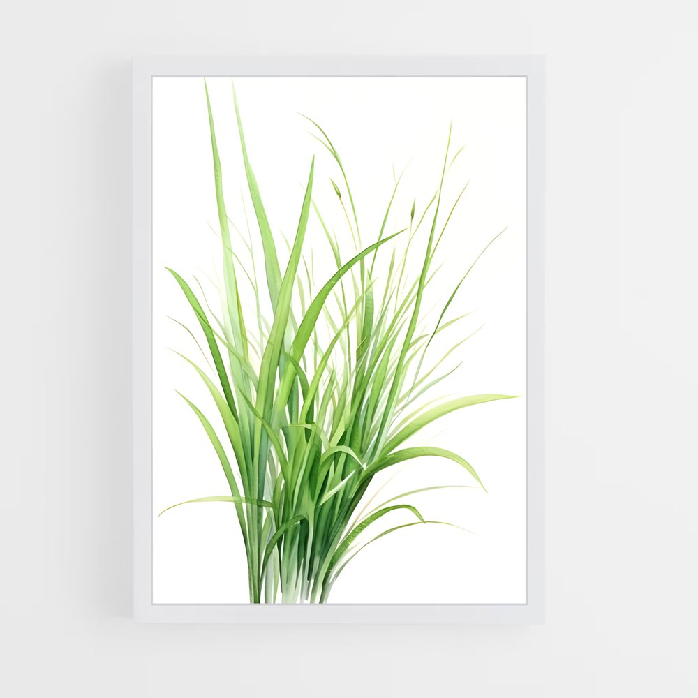 ap-grass-1 cadre Blanc