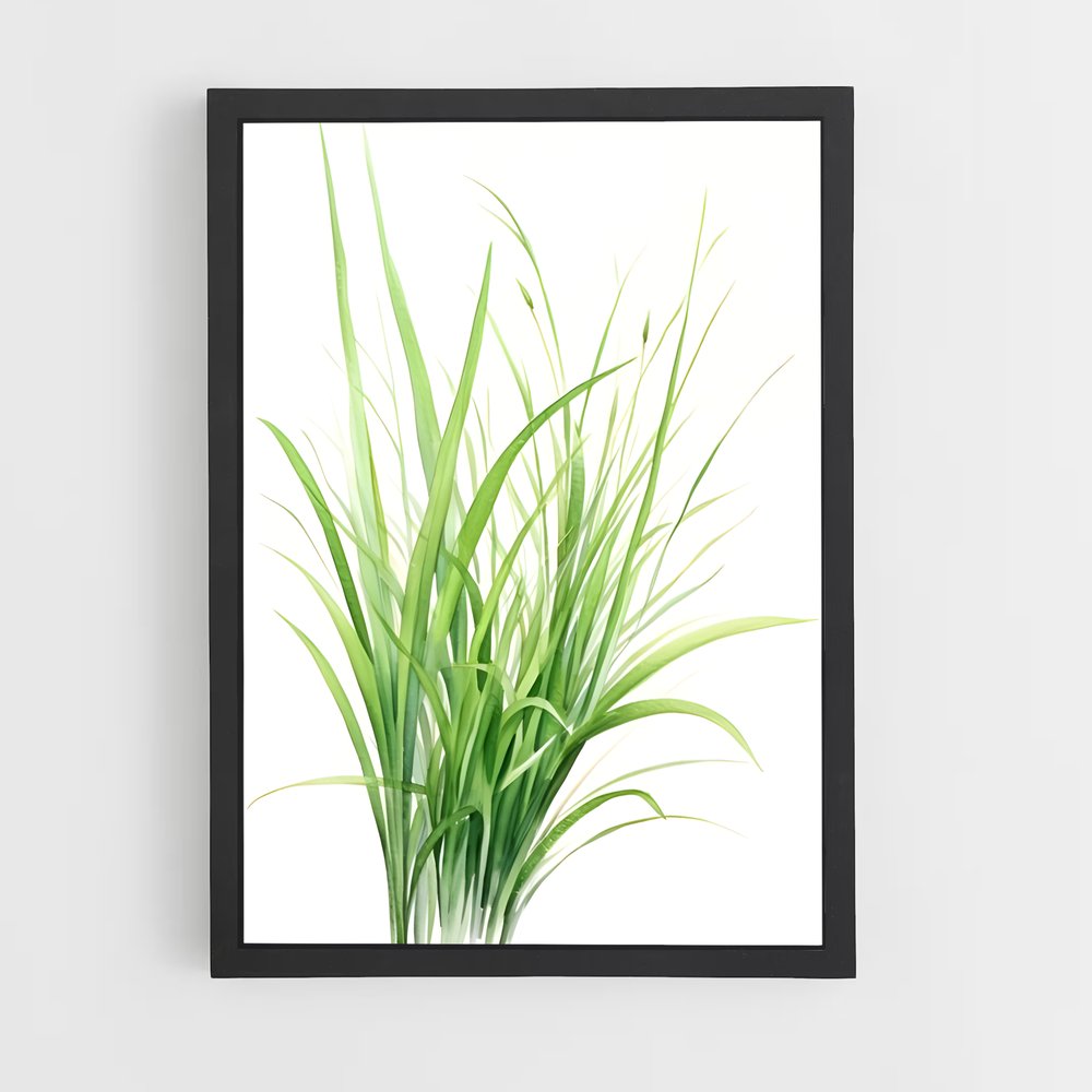 ap-grass-1 cadre Noir