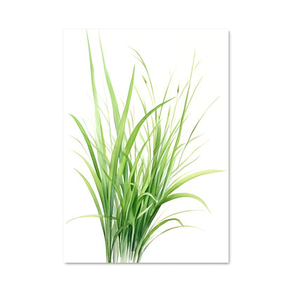 Poster Émeraude des Prairies