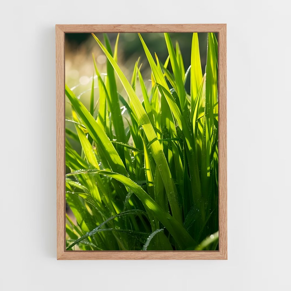 ap-grass-3 cadre Bois clair