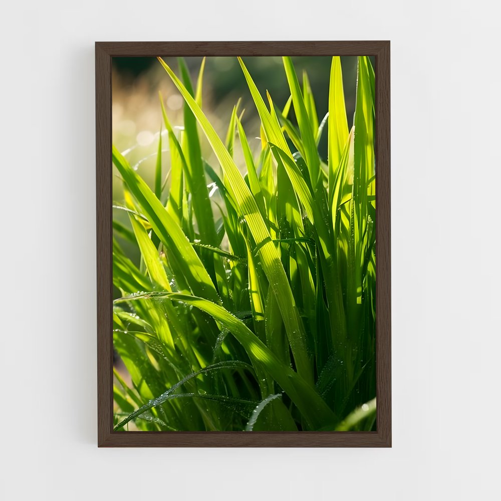ap-grass-3 cadre Bois foncé