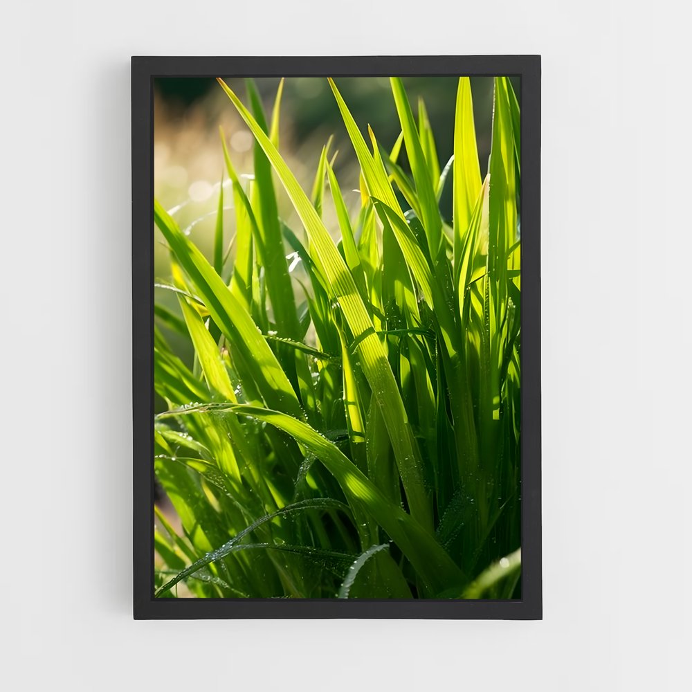 ap-grass-3 cadre Noir