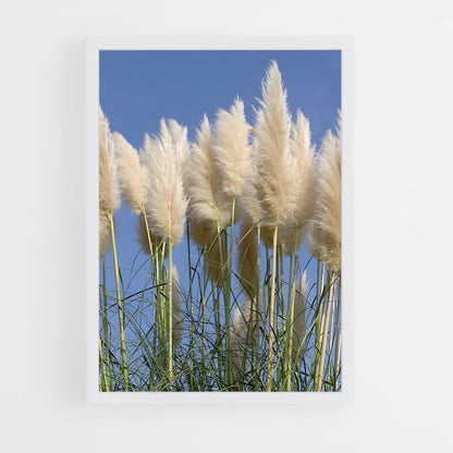 ap-grass-4 cadre Blanc