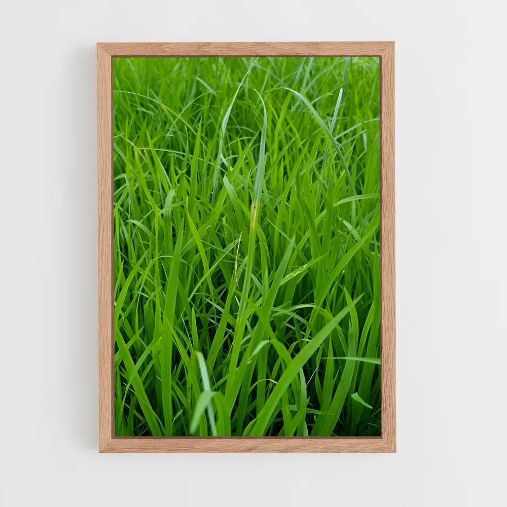ap-grass-6 cadre Bois clair