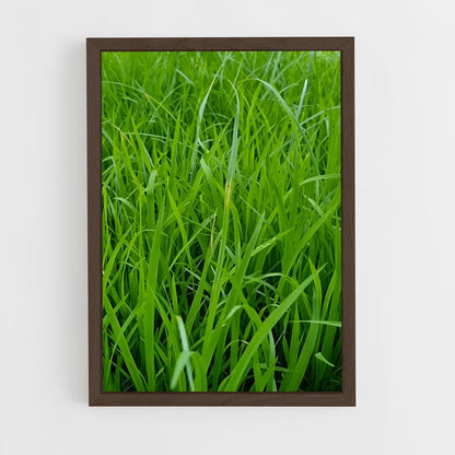 ap-grass-6 cadre Bois foncé
