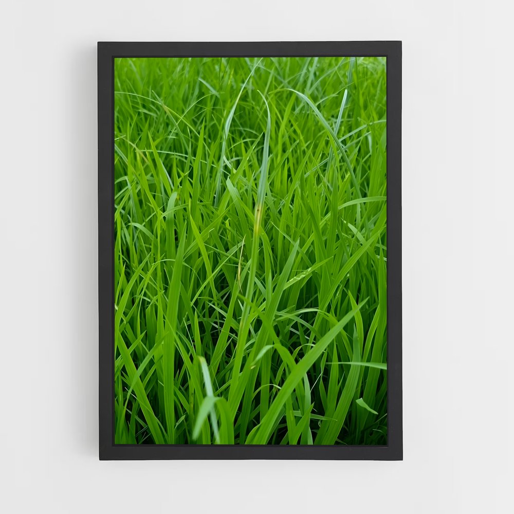 ap-grass-6 cadre Noir